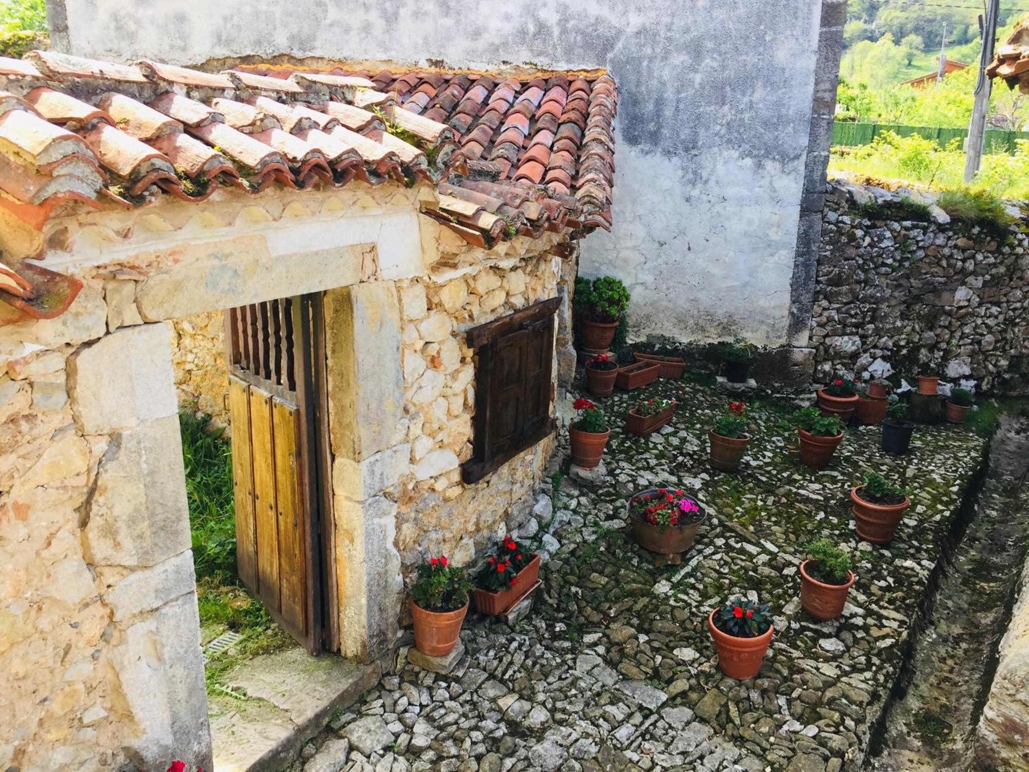 La Corrolada Guest House Avín Exterior foto